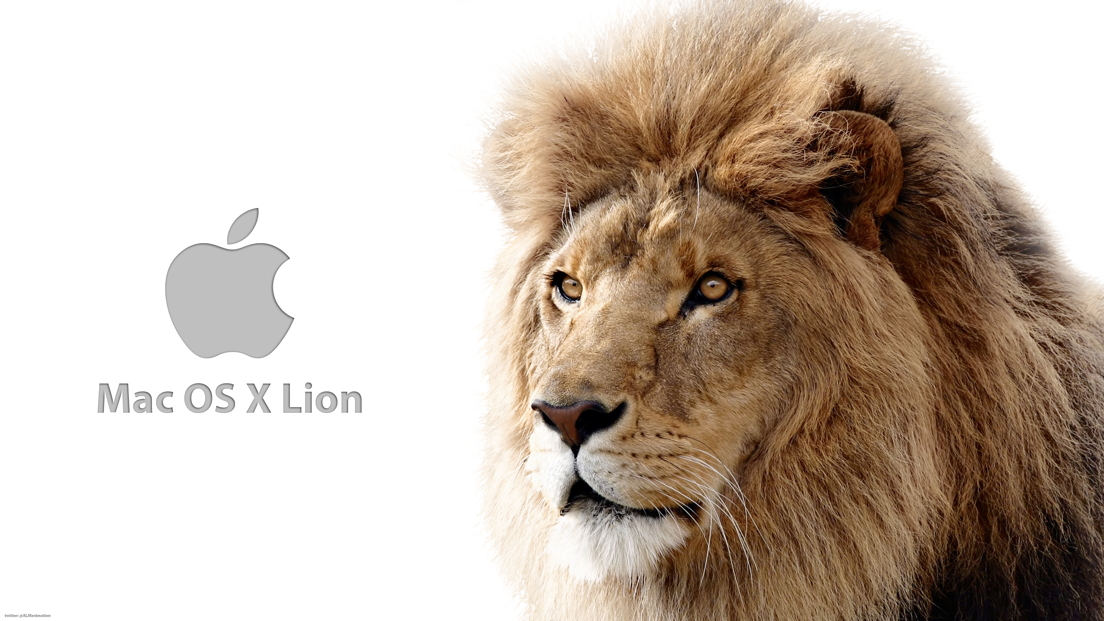 Mac Os Lion Wallpaper Download